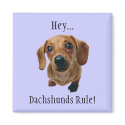 "Hey... Dachshunds Rule!" magnets by kokobaby "Hey... Dachshunds Rule!" magnets
