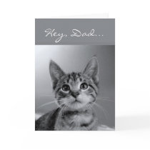 Hey, Dad, Have a Meow-velous Birthday! cards