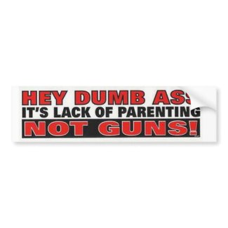Hey Dumb Ass It's Lack of Parenting not Guns bumpersticker