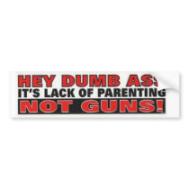 Hey Dumb Ass It's Lack of Parenting not Guns bumper stickers