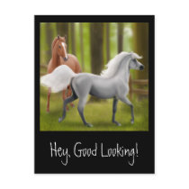 Hey Good Looking Horse Postcard by twopurringcats Hey Good Looking Horse Postcard