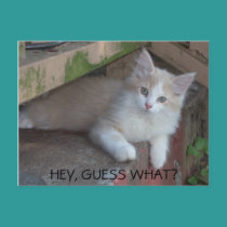 HEY, GUESS WHAT? i MISS YOU postcards