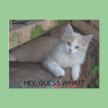 HEY, GUESS WHAT? i MISS YOU postcards
