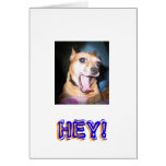 HEY!, HEY! CARDS