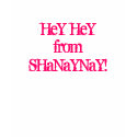 HeY HeY from SHaNaYNaY! t-shirts