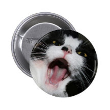 Hey I Am TALKING TO YOU!!! Crazy Cat Pinback Buttons