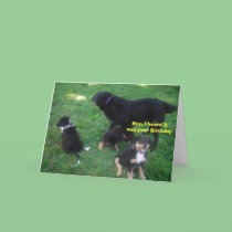 Hey, I heard it was your Birthday cards