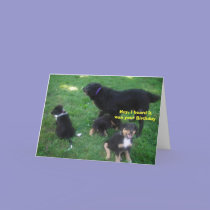 Hey, I heard it was your Birthday cards