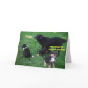 Hey, I heard it was your Birthday cards by minx267 Hey, I heard it was your Birthday cards