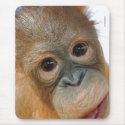 Hey, I'm a cute orangutan mousepads by Rebecca_Reeder Hey, I'm a cute orangutan mousepads