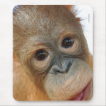 Hey, I'm a Cute Orangutan photo mousepads