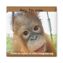 Hey, I'm a Cute Primate Magnets