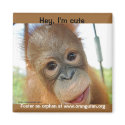 Hey, I'm a Cute Primate magnets