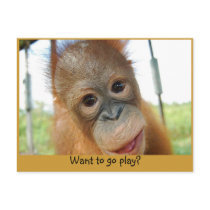 Hey, I'm a Cute Primate Postcards