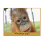 Hey, I'm a Cute Primate Postcards