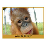 Hey, I'm a Cute Primate Postcards