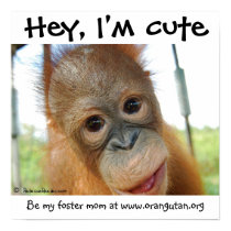 Hey, I'm Cute posters by Rebecca_Reeder Hey, I'm Cute posters