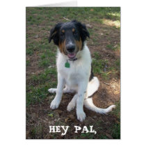 HEY PAL Whazzup! cards by minx267 HEY PAL Whazzup! cards