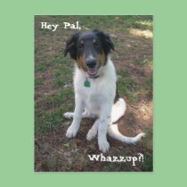 Hey Pal, Whazzup?! Postcard