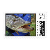 Hey?! postage