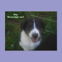 Hey,Remember me? postcards