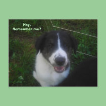 Hey,Remember me? postcards