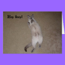 Hey Sexy! cards