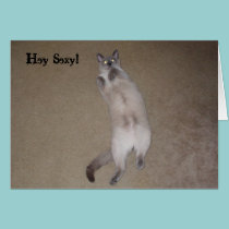 Hey Sexy! cards