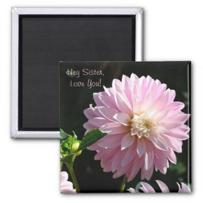 Hey Sister Love You! PINK DAHLIAS magnets, DAHLIA FLOWERS magnet gifts, Big Dinner Plate Dahlia Flowers, MAGNET, Magnets. Bookmark this site for great gift 