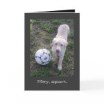 Hey, Sport. Yellow Lab Puppy All Occasion Card Hey, Sport. Yellow Lab Puppy All Occasion Card