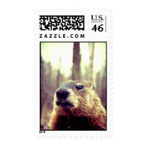 Hey there handsome! postage by misskitteh Hey there handsome! postage