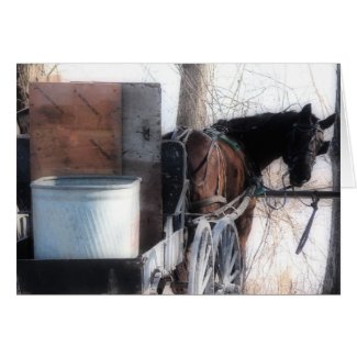 Hey There, Orton Effect, Amish Horse Card