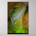 Hey There Poster