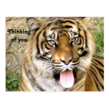 Hey!!, Thinking of you Post Card