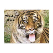Hey!!, Thinking of you postcards