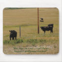 "Hey, what can I say? mousepads
