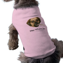 Hey Whats Up pet clothing by memuddy Hey Whats Up pet clothing
