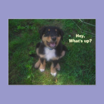 Hey, What's up? postcards