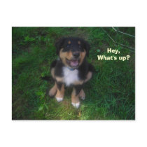 Hey, What's up? postcards by minx267 Hey, What's up? postcards