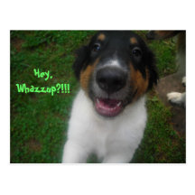 Hey, Whazzup?!!! Post Cards