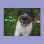 Hey, Whazzup?!!! postcards