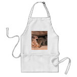 Hey, Where's the Remote! aprons