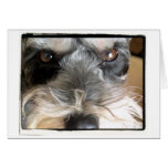 Hey You! Greeting Cards