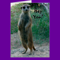 Hey You Meerkat Birthday Card cards