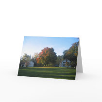 HF Side Lawn  cards