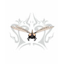 HG dragon-fly t-shirts