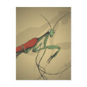 HG . it got a little out of hand, we guess postcards by humblegrumble HG . it got a little out of hand, we guess postcards