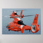 HH-65 Dolphin Print