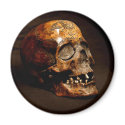 hh magnets