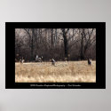 HH Running Whitetail Poster posters
